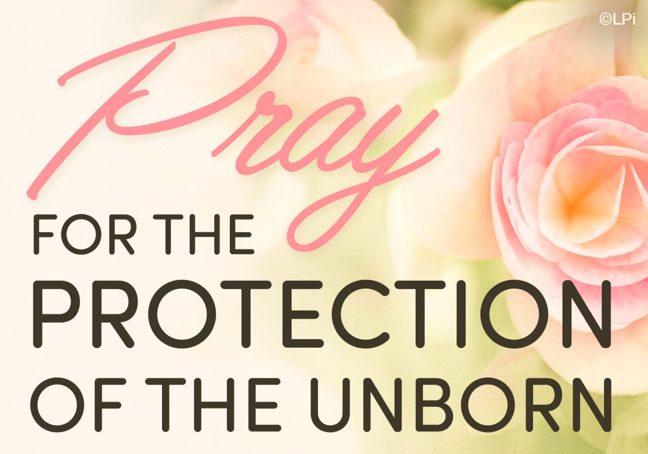 Get Involved! Nativity of Our Lord Catholic Church