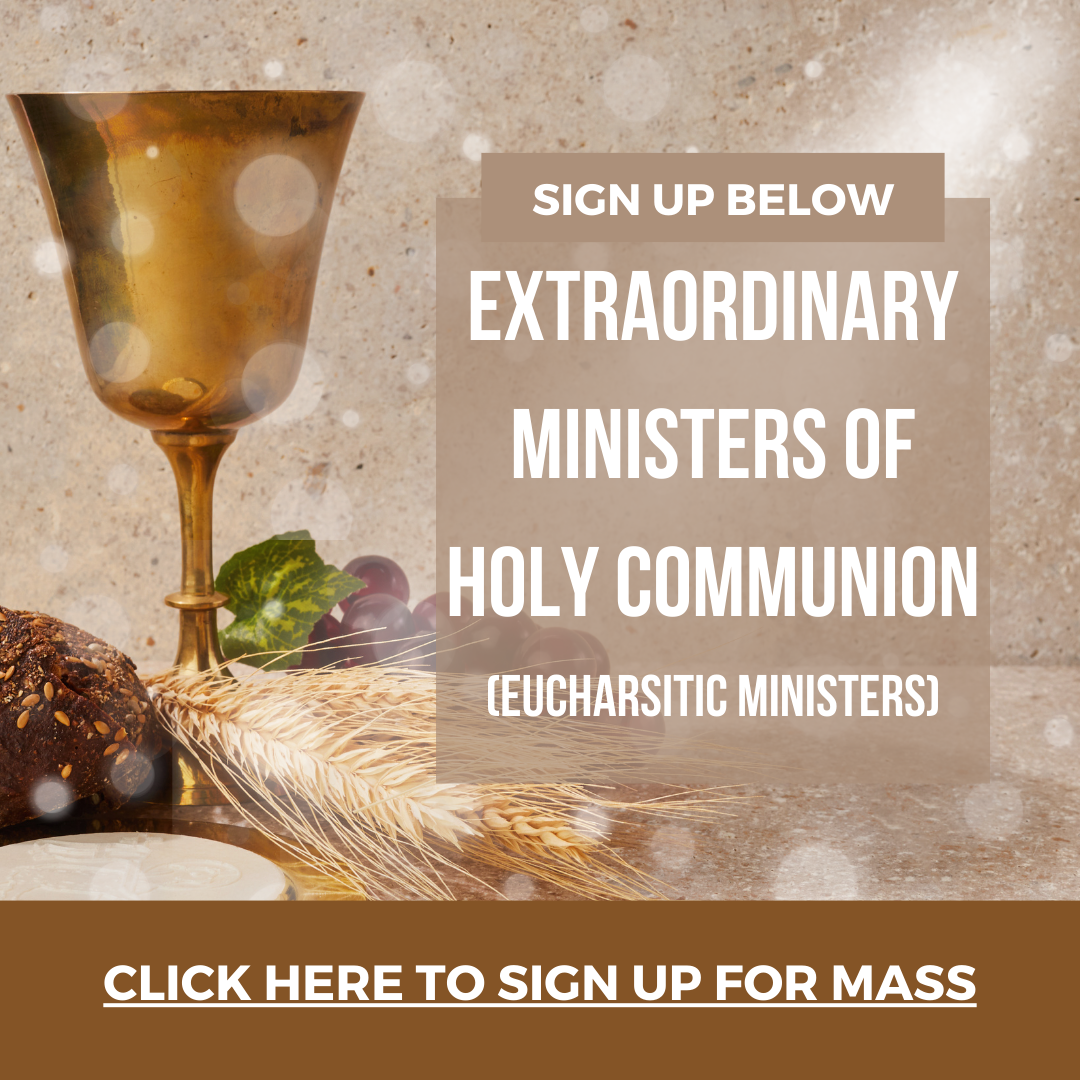 extraordinary ministers of holy communion